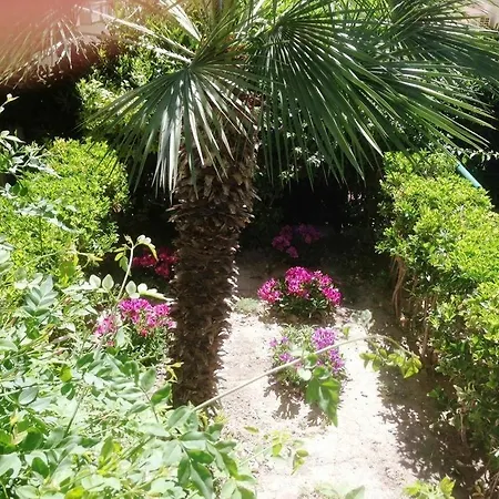 Anita 4* Ialysos (Rhodes)